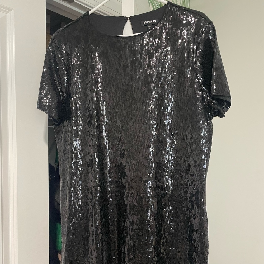 Express sequin dress